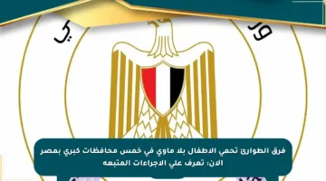 فرق الطوارئ تحمي الأطفال بلا مأوى في خمس محافظات كبرى بمصر الآن: تعرف على الإجراءات المتبعة